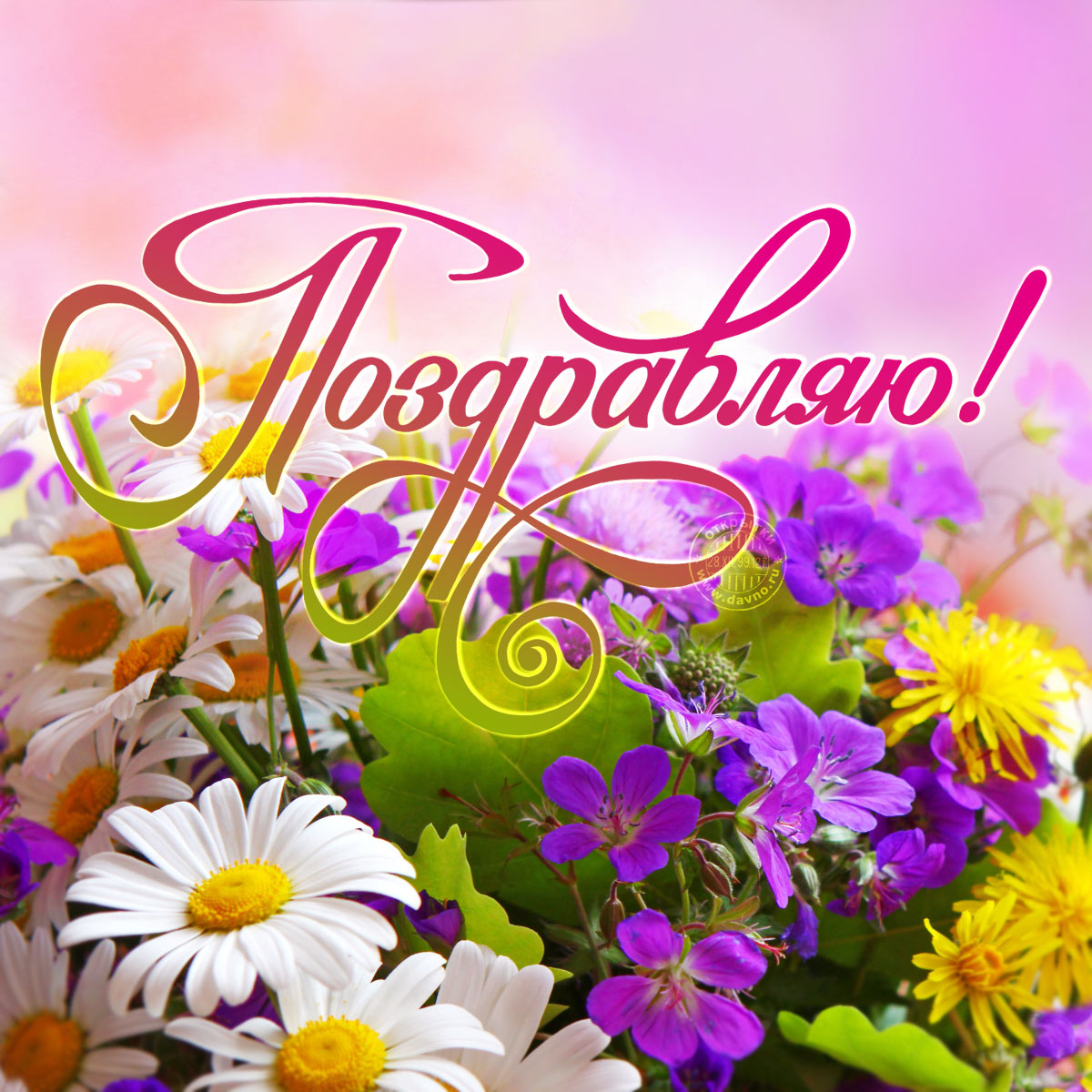 Астры и хризантемы - осень в цветочных композициях