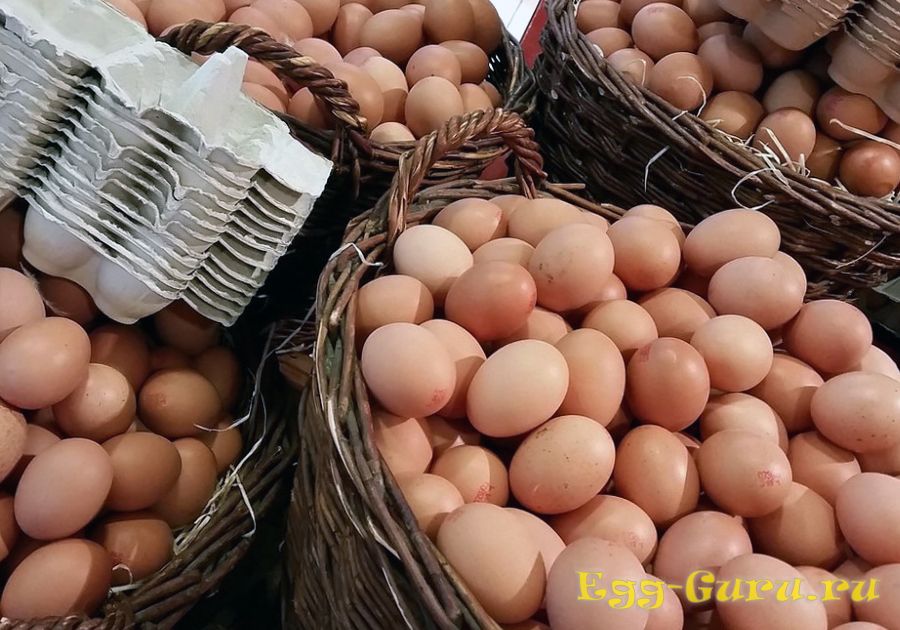 Cравнение содержания витаминов в яйцах