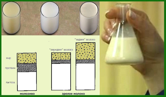 Грудное молоко сохраняет питательные свойства при комнатной температуре