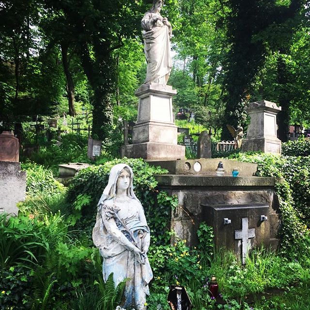 Искусственные цветы на кладбище: красота без ухода