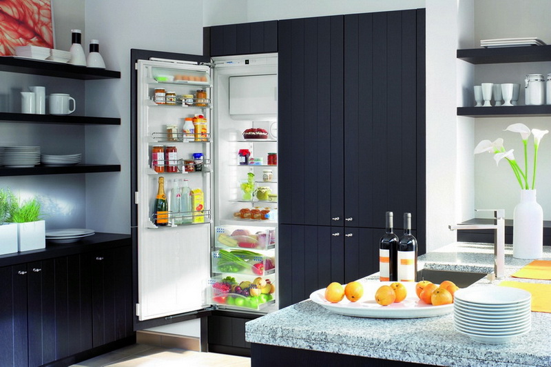 Холодильник в кухонный гарнитур: оптимальные способы встраивания