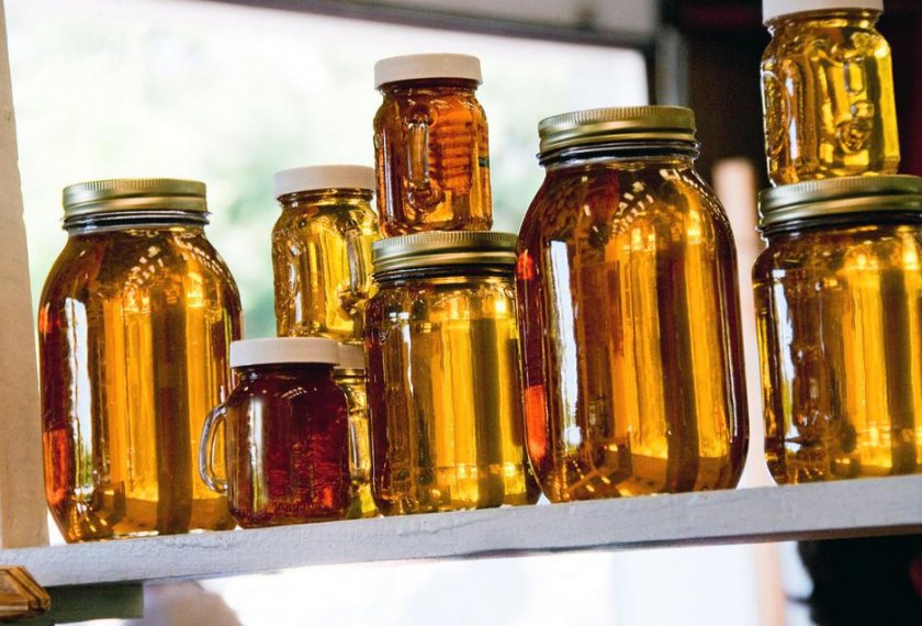 Хранить ли мед в холодильнике?