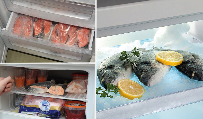 Сохранение свежей рыбы в холодильнике
