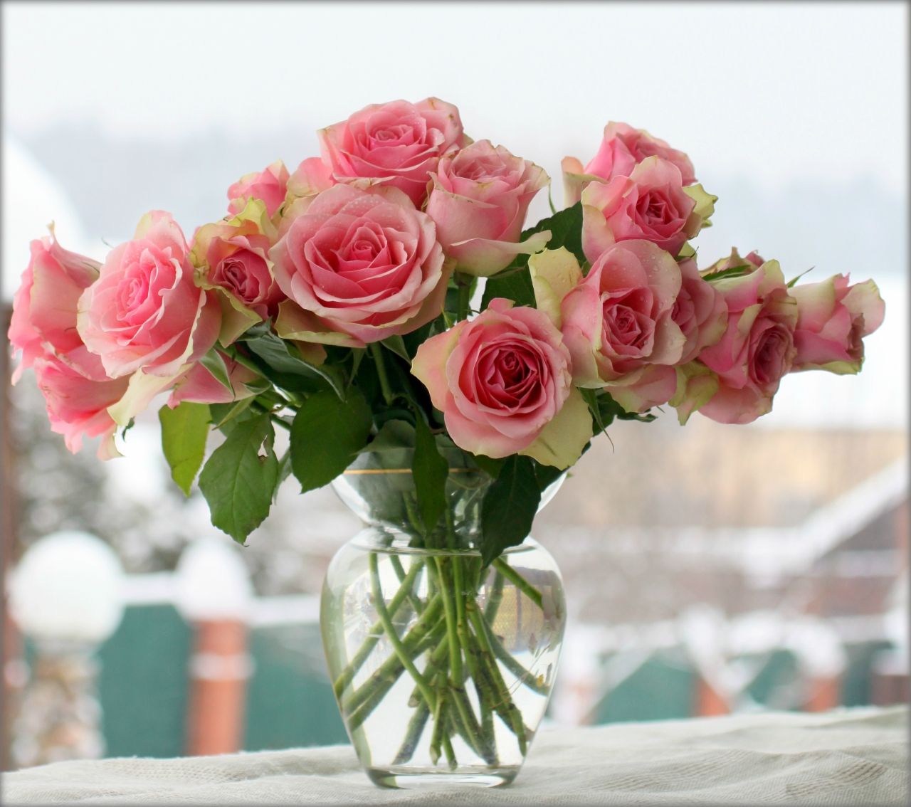Сохранение свежести роз в вазе