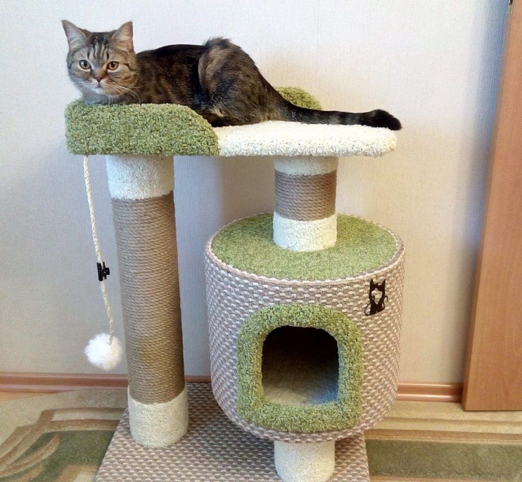 Создание домика для кошки из простых материалов