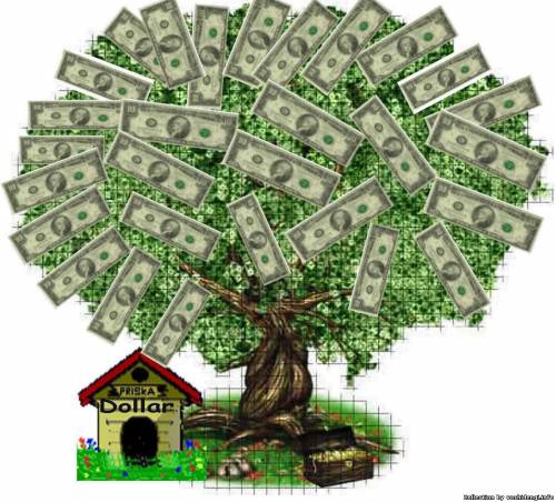 Выращивание долларового дерева в домашних условиях